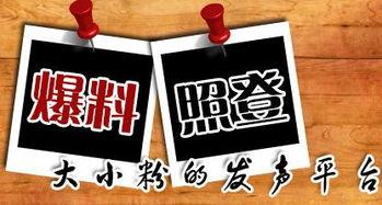 新闻爆料配乐大全,动感旋律背后的故事